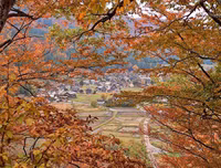 [ẢNH] Chiêm ngưỡng 