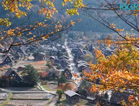 [ẢNH] Chiêm ngưỡng 