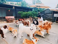 [ẢNH] Những quán cà phê thú cưng hút khách trên thế giới