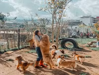 [ẢNH] Những quán cà phê thú cưng hút khách trên thế giới