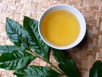 [ẢNH] Những cách giải rượu tại nhà nhanh chóng và hiệu quả nhất
