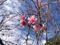 [ẢNH] 