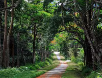 [ẢNH] Nghỉ Tết dương 