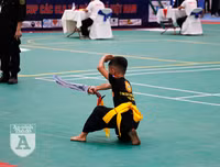 [ẢNH] Võ sĩ nhí khuấy đảo đại hội võ thuật: 