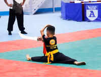 [ẢNH] Võ sĩ nhí khuấy đảo đại hội võ thuật: 