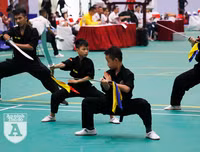 [ẢNH] Võ sĩ nhí khuấy đảo đại hội võ thuật: 