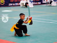 [ẢNH] Võ sĩ nhí khuấy đảo đại hội võ thuật: 
