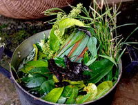 [ẢNH] Lợi ích 