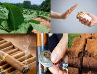 [ẢNH] Sự thật đáng sợ về những chất độc 