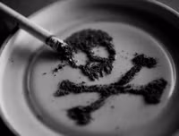 [ẢNH] Sự thật đáng sợ về những chất độc 