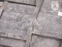 [Ảnh] Hình ảnh 