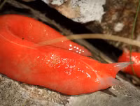 [ẢNH] Chiêm ngưỡng 
