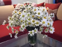 [ẢNH] Hút tài lộc vào nhà nhờ những mẹo phong thủy đơn giản