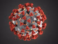 [ẢNH] Những phát hiện khoa học quan trọng của các nước về virus corona