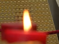 Chiêm ngưỡng cây thông Giáng sinh 2018 đắt đỏ nhất châu Âu