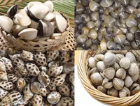 [ẢNH] Những lưu ý khi chế biến hải sản tránh gây ngộ độc