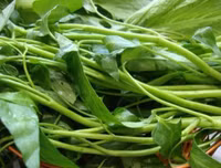 [ẢNH] Những lưu ý khi chế biến hải sản tránh gây ngộ độc