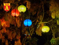 [ẢNH] Nao lòng trước vẻ đẹp bình yên của Hội An trong dịp nghỉ lễ