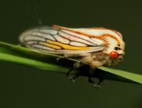 [ẢNH] Chiêm ngưỡng 