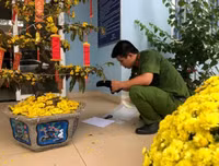 Vụ cướp trạm thu phí Dầu Giây: Những tình tiết đáng chú ý