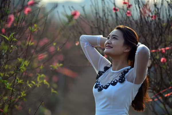Hoa đào mang xuân xuống phố ảnh 3