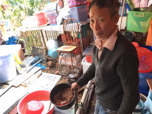  Ông Nguyễn Mạnh Tiến (61 tuổi) cho biết, hàng ngày con khỉ hoang thường xuyên vào trong lán trông coi vườn của nhà ông để phá phách. 