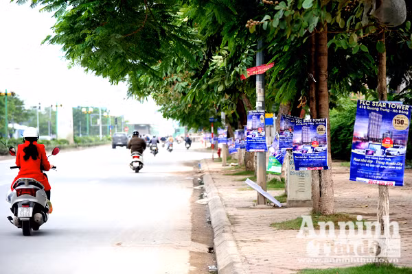 Chung cư, biêt thự đua nhau "trèo" cột điện mời gọi người mua ảnh 2