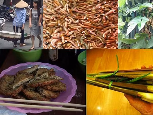 Thưởng thức chả rươi thơm ngon đúng điệu ảnh 1