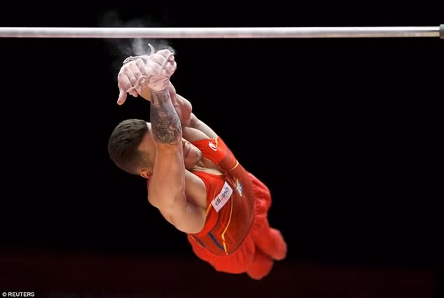 50 bức ảnh đẹp nhất của làng thể thao thế giới năm 2015 ảnh 39