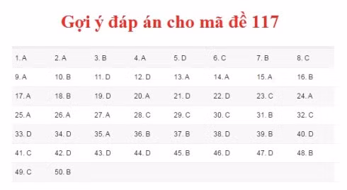 Gợi ý đáp án môn Toán kỳ thi THPT Quốc gia 2017 ảnh 6