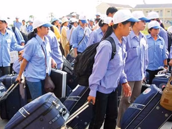 Vì sao nhiều lao động đòi về nước, phá vỡ hợp đồng? ảnh 1