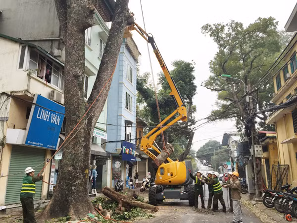 TP Hà Nội cắt tỉa cây xanh bằng công nghệ mới: Hiệu suất công việc tăng gấp 5 lần ảnh 1