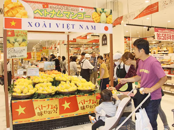 Dò dẫm từng bước đưa hàng Việt xuất ngoại ảnh 1