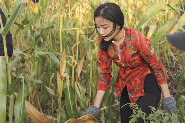 Project Runway Vietnam 2015: NTK Hải Yến "hoá thân" thôn nữ trên cánh đồng ảnh 5