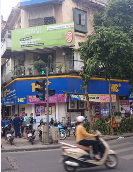 Kẻ gian táo tợn chặt cây xanh trong đêm ảnh 2