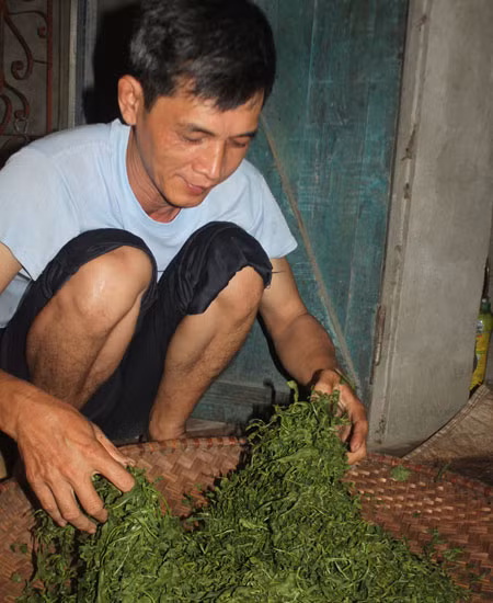Báu vật chốn thâm sơn ảnh 3
