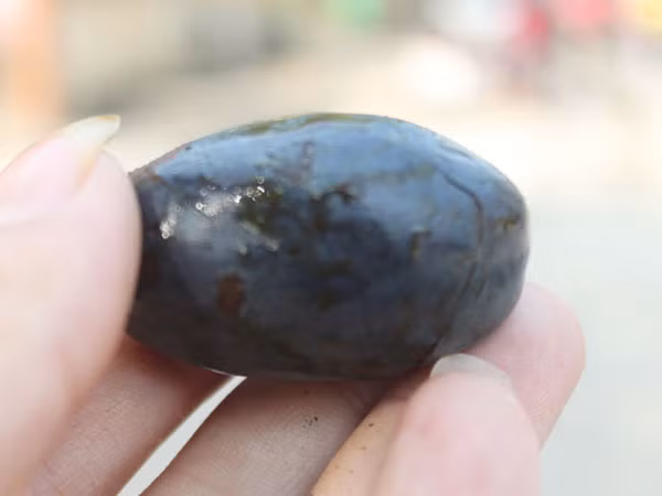 Của ngon còn một chút này ảnh 1