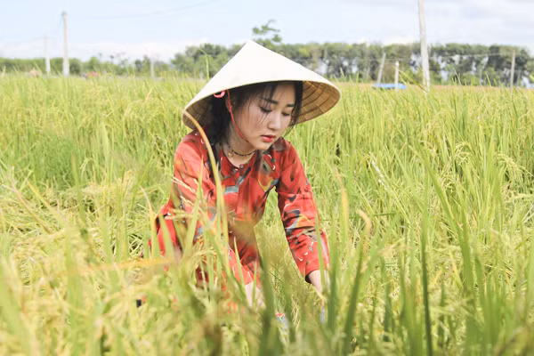 Project Runway Vietnam 2015: NTK Hải Yến "hoá thân" thôn nữ trên cánh đồng ảnh 4