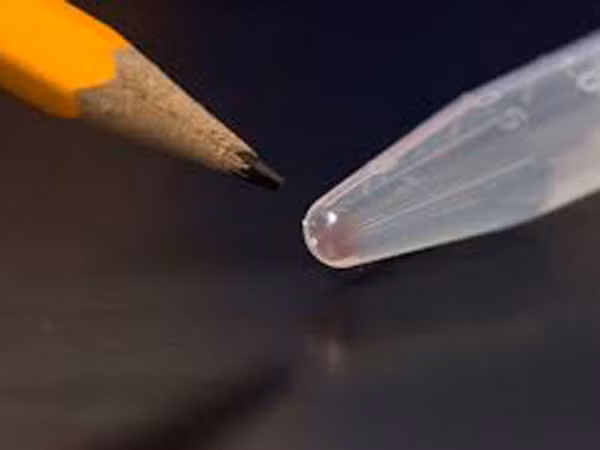 Lưu hình ảnh kỹ thuật số vào trong ADN ảnh 1