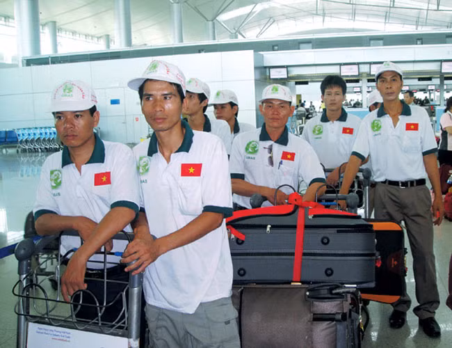 Cảnh báo lừa đảo đưa lao động đi làm việc ở Hàn Quốc ảnh 1