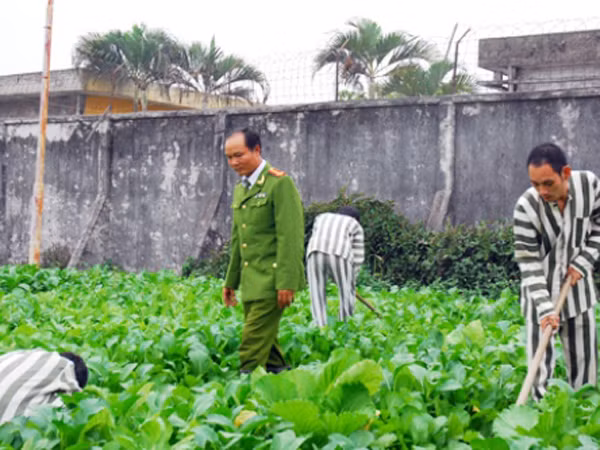 Hợp nhất trại tạm giam số 2 và số 3 - CATP Hà Nội: Đáp ứng tốt hơn nữa công tác cải cách tư pháp ảnh 1