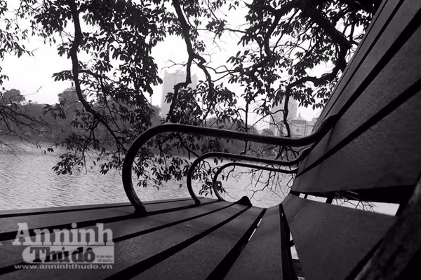 Ngắm mùa thu Hà Nội tuyệt đẹp qua những bức ảnh đen trắng ảnh 3