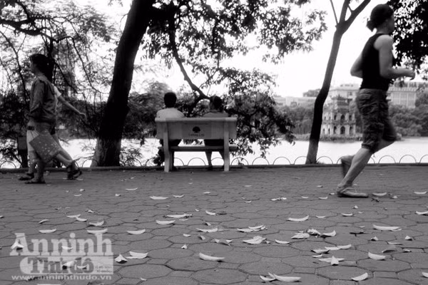 Ngắm mùa thu Hà Nội tuyệt đẹp qua những bức ảnh đen trắng ảnh 7