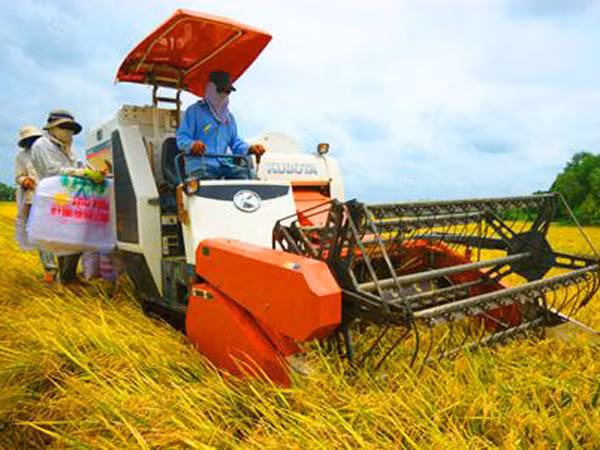 Giảm mạnh đói nghèo vùng nông thôn ảnh 1