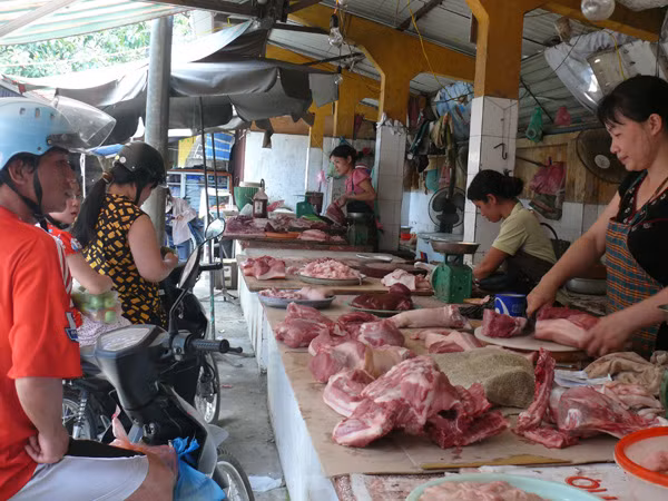 Loại dần chất cấm trong chăn nuôi ảnh 1