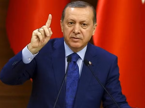 Chính quyền Erdogan bắt hơn 100 nghi phạm có âm mưu đảo chính ảnh 1