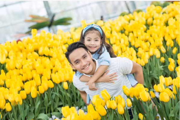 Festive Wonderland – Lễ hội thần tiên tại xứ sở Vinpearl Land ảnh 3
