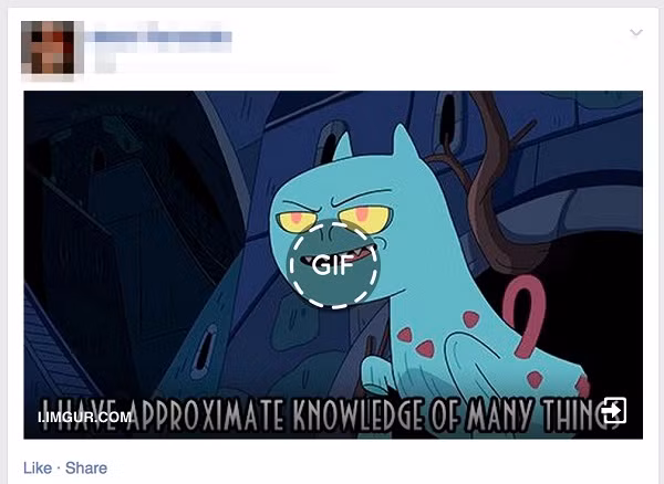 Facebook hỗ trợ người dùng đăng tải ảnh GIF ảnh 1