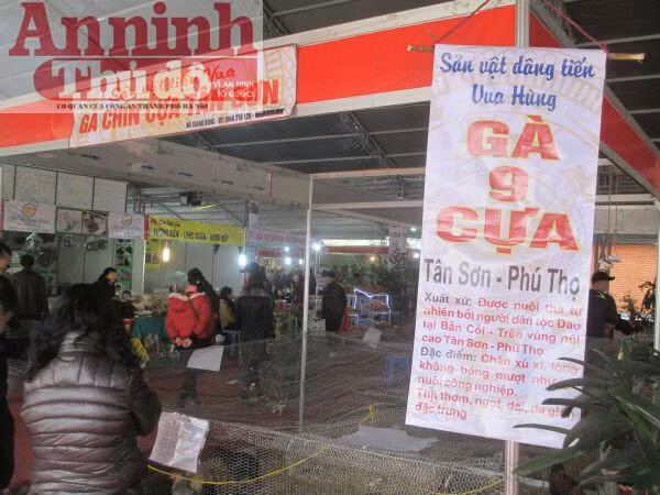 Ngắm tận mắt gà 9 cựa, cá chép “khủng“ ảnh 1