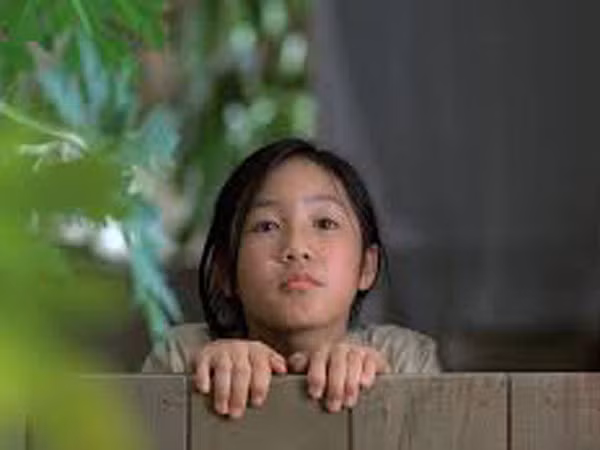 Phim Việt tranh giải Oscar: Không mặn mà vì biết chắc sẽ... trượt ảnh 1